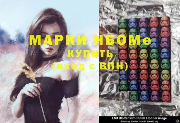 прущие грибы Волоколамск