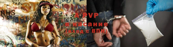 прущие грибы Волоколамск