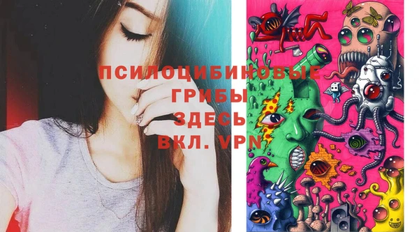 прущие грибы Волоколамск
