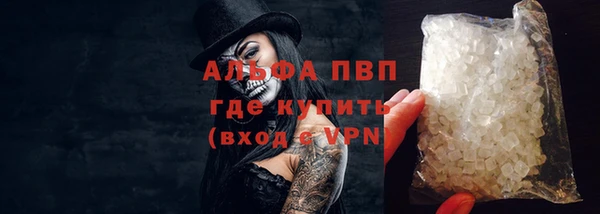 прущие грибы Волоколамск