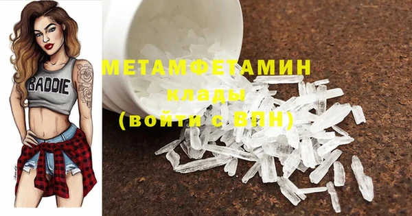 прущие грибы Волоколамск