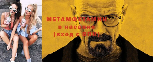 прущие грибы Волоколамск