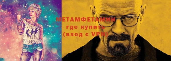 прущие грибы Волоколамск
