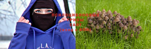 mdma Волосово