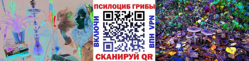 Купить  Красноармейск  Галлюциногенные грибы GOLDEN TEACHER 